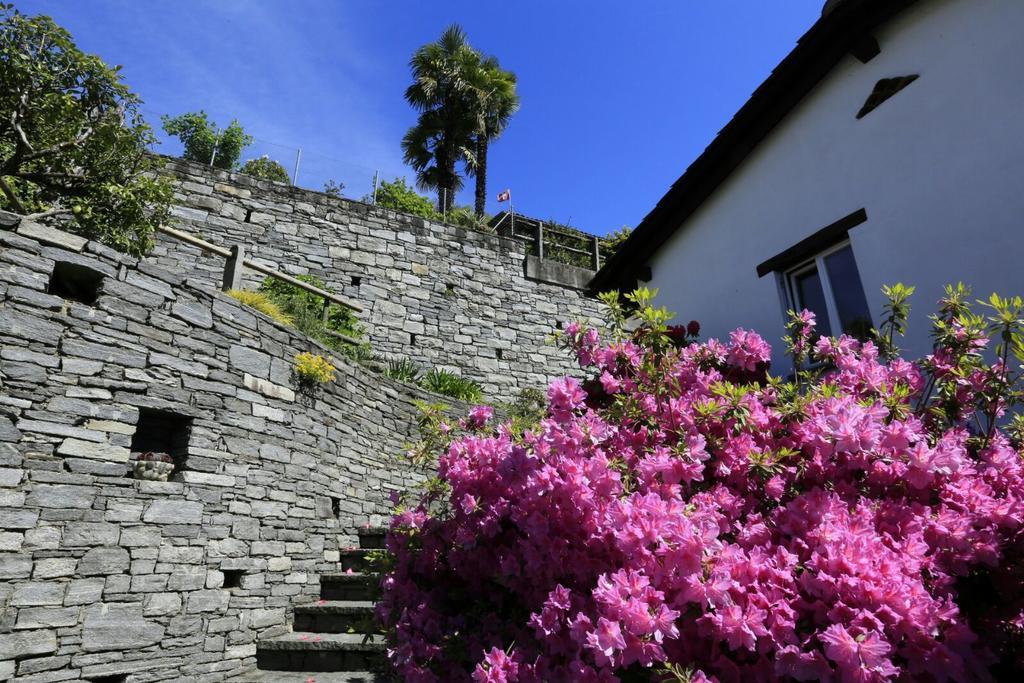 Apartmán Casa Micheroli *